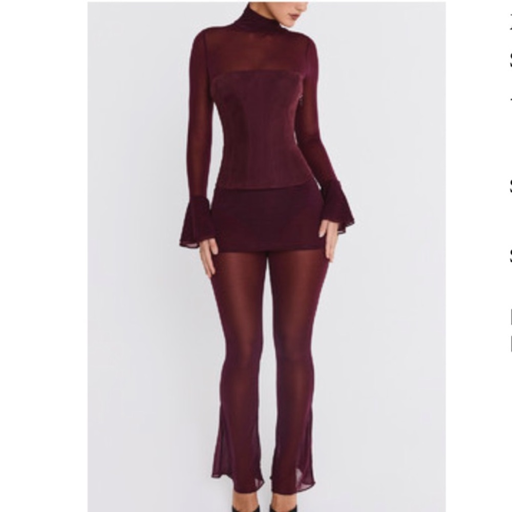 Burgundy/Deep Plum Sheer High Waist Set
